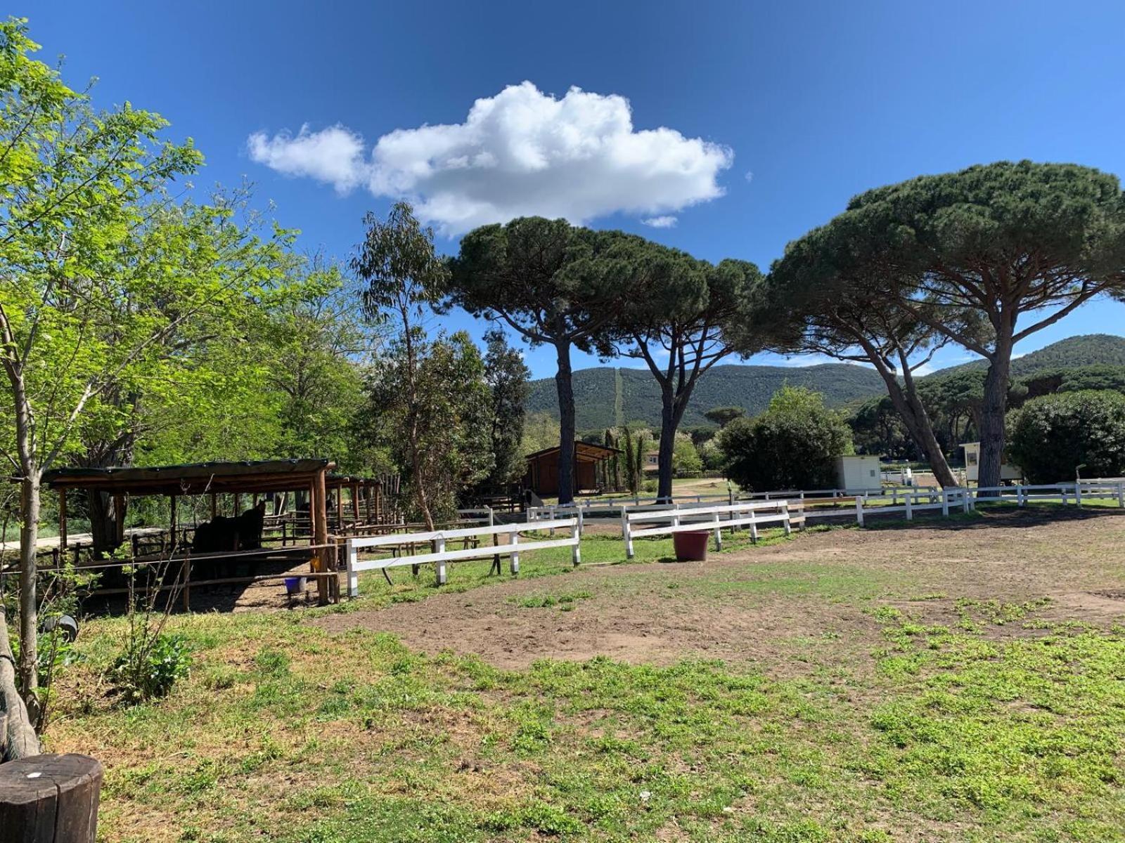 La Casa Delle Stelle Daire Tirli Dış mekan fotoğraf